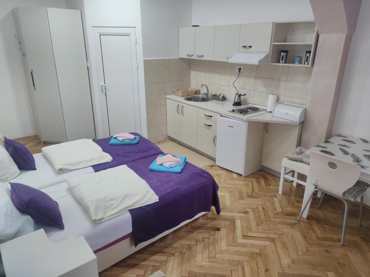 Smestaj Milenkovic Soko Banja Bagian luar foto
