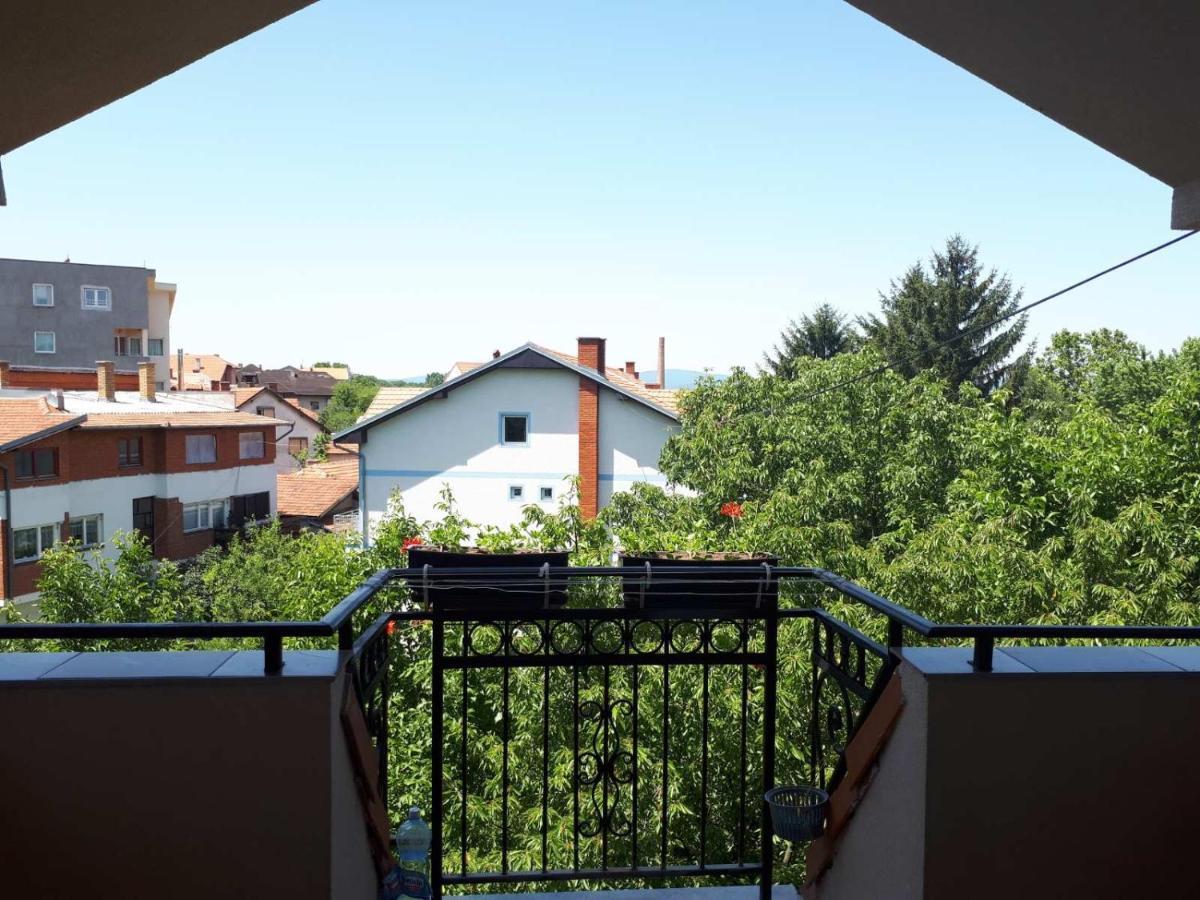 Smestaj Milenkovic Soko Banja Bagian luar foto