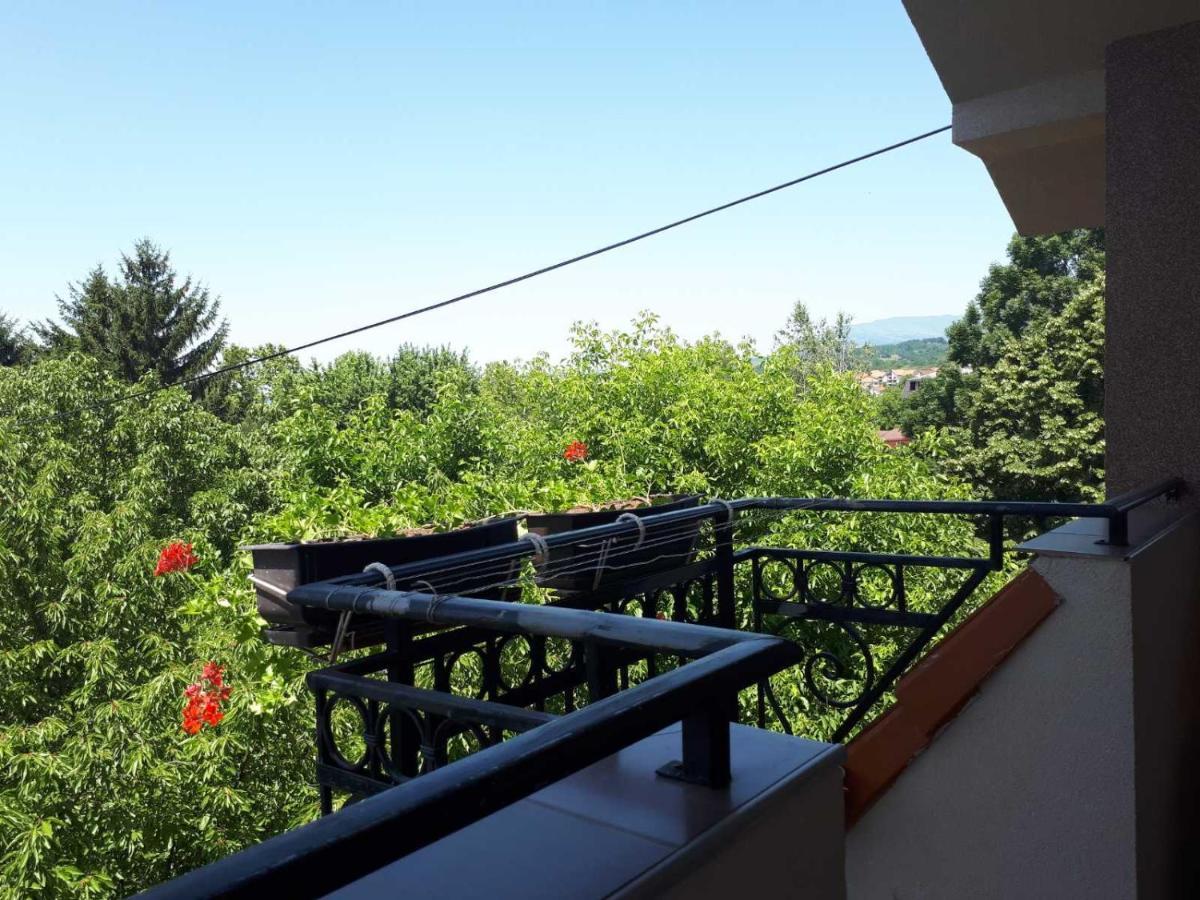 Smestaj Milenkovic Soko Banja Bagian luar foto