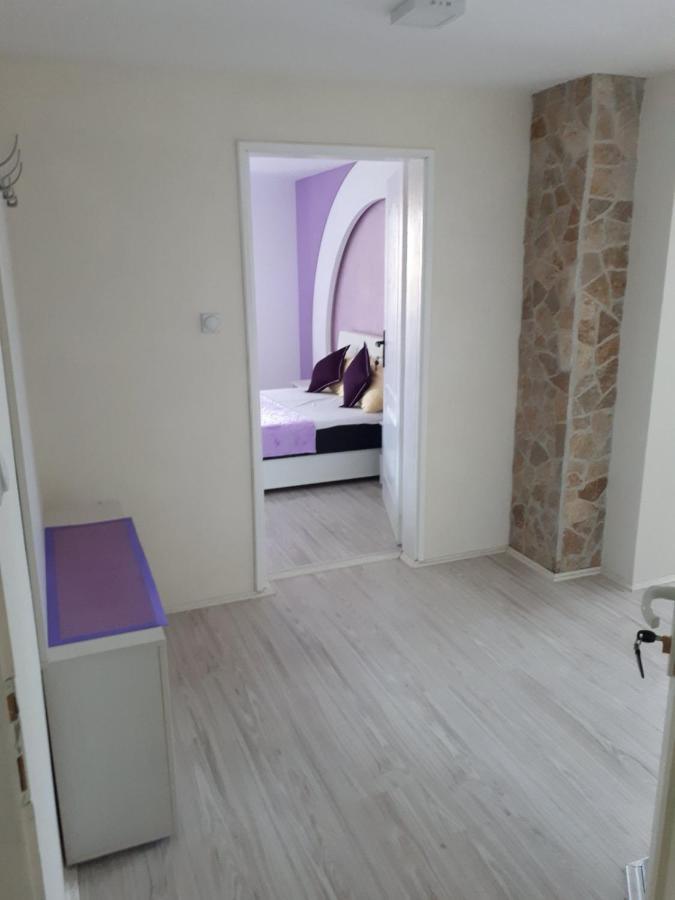 Smestaj Milenkovic Soko Banja Bagian luar foto