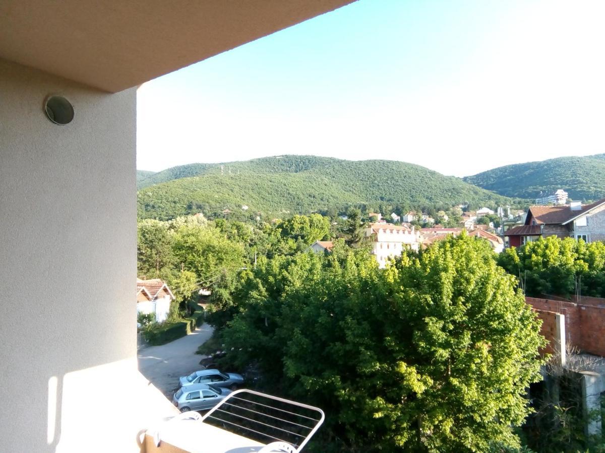 Smestaj Milenkovic Soko Banja Bagian luar foto